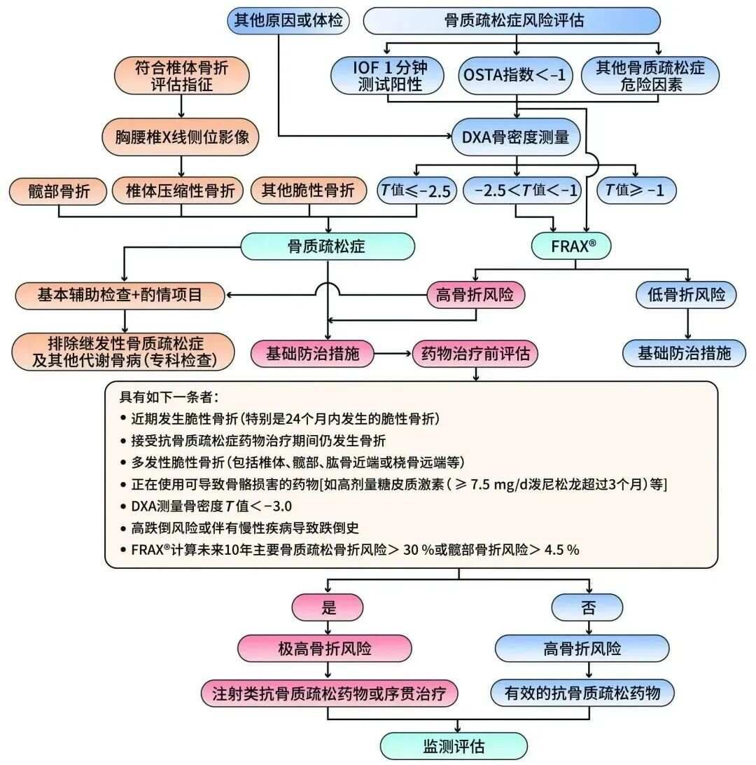 最新！指南共识 | 原发性骨质疏松症诊疗指南（2022）