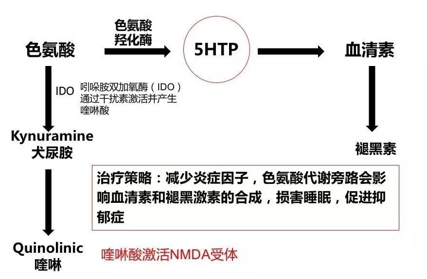 功能医学指导下情绪与睡眠管理（下期）——综合案例分析