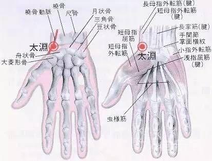 记住十二个“穴道”，几乎可治一切疼痛！中老年人一定要看