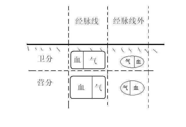《黄帝内经》气血概念解析