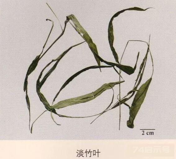 200味中药彩图谱，带图带功效，让你秒懂中药材！