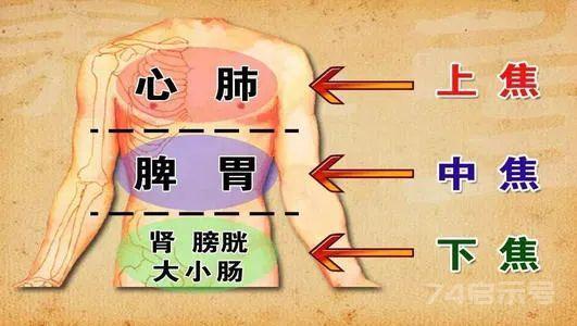 打通三焦最好用的方子，清上焦、通中焦、利下焦，三焦一通，诸症