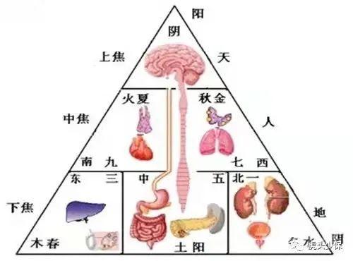 打通三焦最好用的方子，清上焦、通中焦、利下焦，三焦一通，诸症
