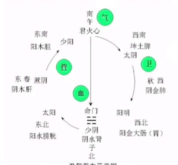 3.医者针刺手法