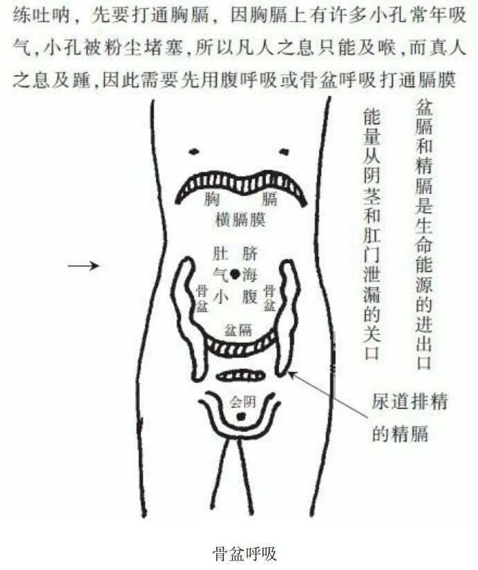 呼吸之间 | 顺逆呼吸有何区别