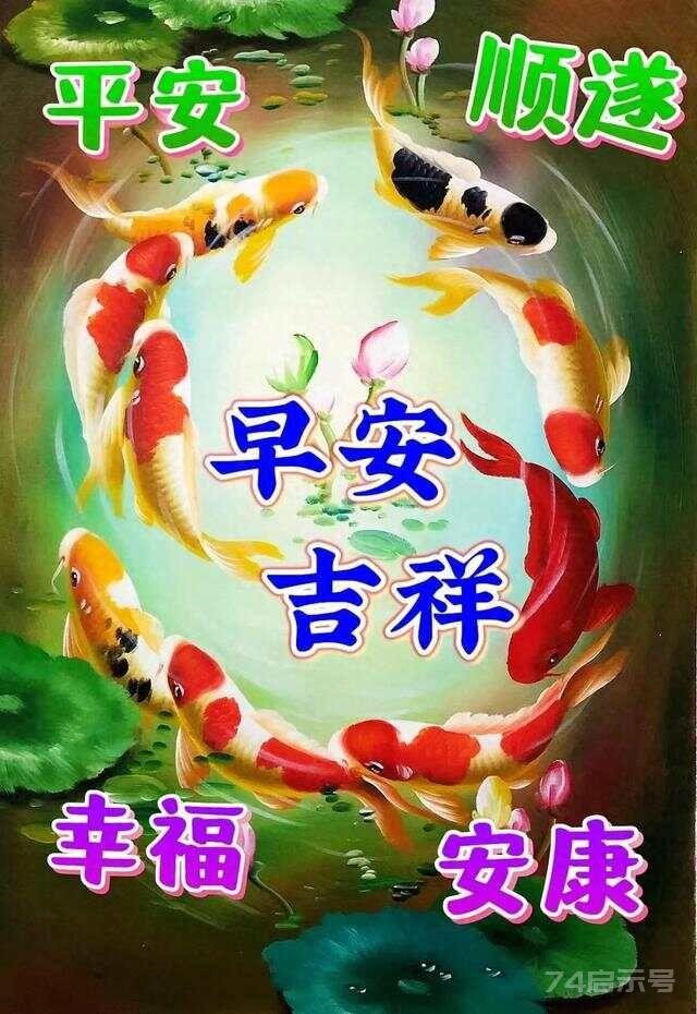 早安吉祥：问候是情，情如天，新的一天，吉祥安康，早安！