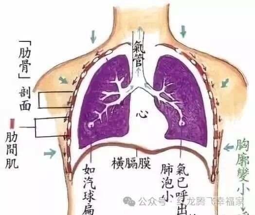 呼吸到脐，寿与天齐，呼吸入腰，百病全消