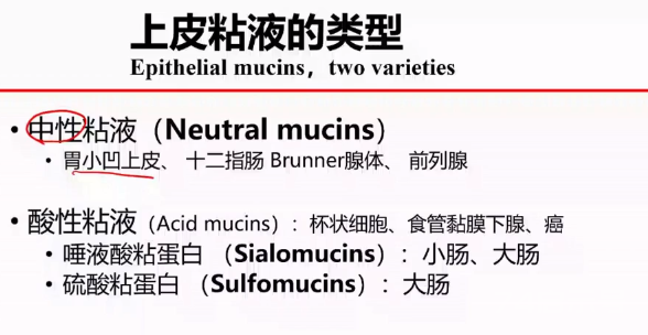 胃活检异型增生病理学习