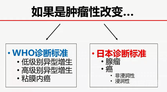 胃活检异型增生病理学习