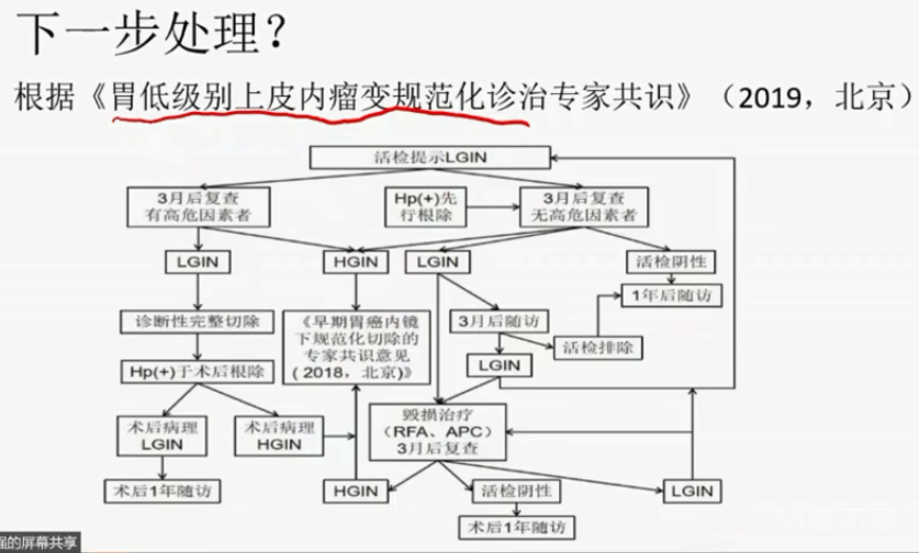 胃活检异型增生病理学习