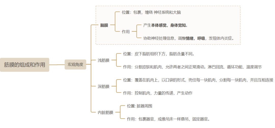 筋膜抖动激活的奥秘