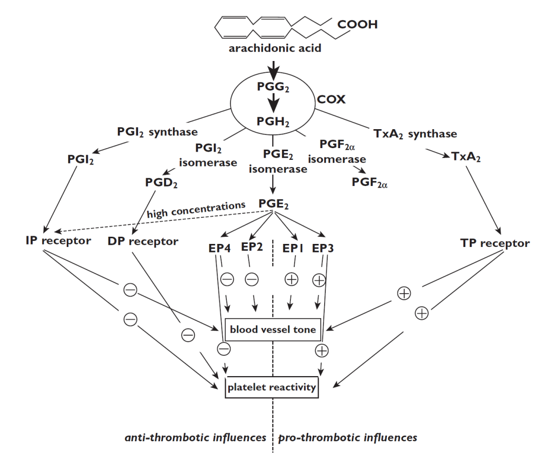 血小板功能检测专题（5）：花生四烯酸途径生物活性物质和COX抑制