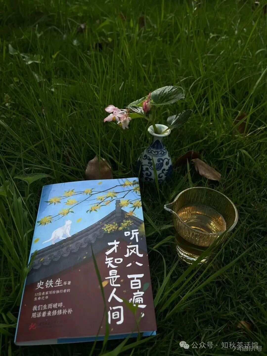 卖茶人这样发圈，让你生意忙到飞起