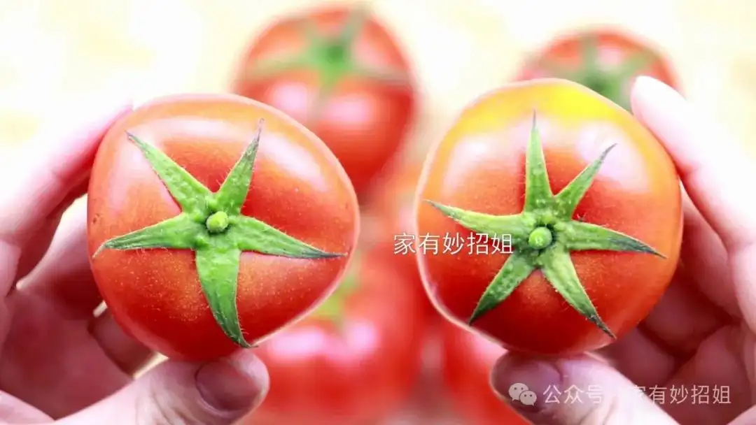 _老西红柿品种大全大图_老西红柿品种