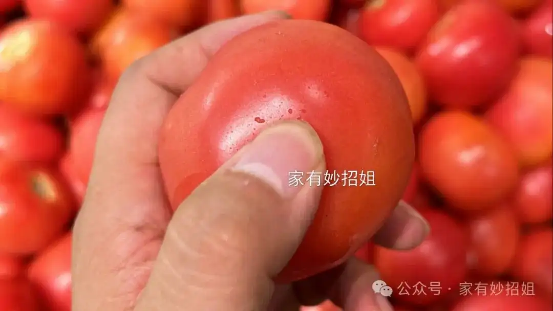 老西红柿品种大全大图__老西红柿品种