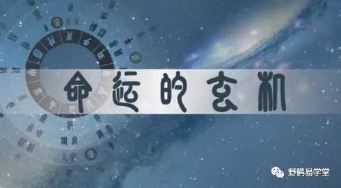 _八字实战讲座_八字实战讲解