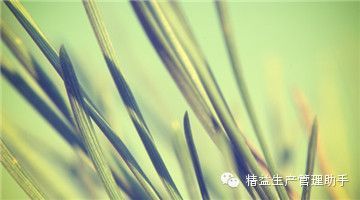 TPS大师佐佐木元访谈录