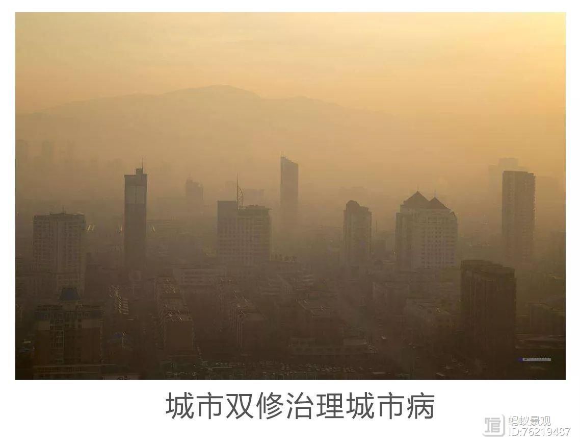 孟兆祯：“时宜得致，古式何裁——创新扎根于中国园林传统特色中_孟兆祯：“时宜得致，古式何裁——创新扎根于中国园林传统特色中_