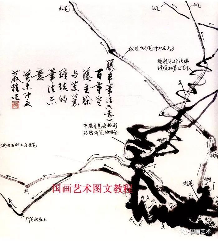 图文教程：写意花鸟画技法之藤本花卉（上）