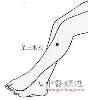 11个养生穴位常按摩 赶走所有小毛病(图)